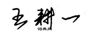 朱錫榮王耕一草書個性簽名怎么寫