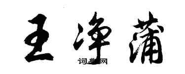 胡問遂王淨蒲行書個性簽名怎么寫