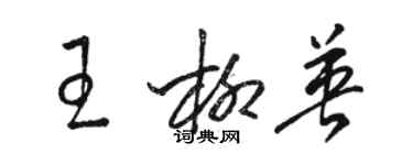 駱恆光王柳英草書個性簽名怎么寫