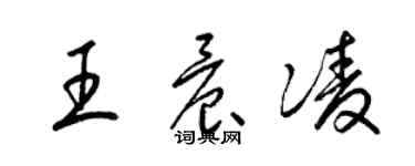 梁錦英王晨凌草書個性簽名怎么寫