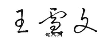 駱恆光王雪文草書個性簽名怎么寫