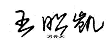 朱錫榮王昭凱草書個性簽名怎么寫