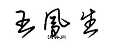 朱錫榮王鳳生草書個性簽名怎么寫