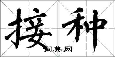 翁闓運接種楷書怎么寫