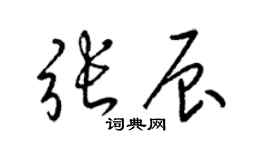 梁錦英張辰草書個性簽名怎么寫