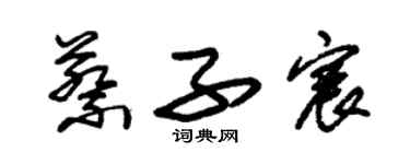 朱錫榮蔡子宸草書個性簽名怎么寫