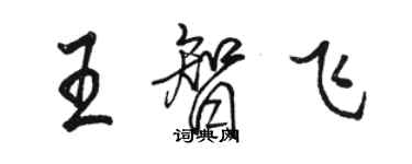 駱恆光王智飛行書個性簽名怎么寫