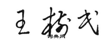 駱恆光王樹民草書個性簽名怎么寫