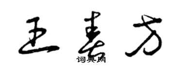 曾慶福王春方草書個性簽名怎么寫