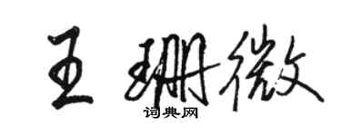 駱恆光王珊微行書個性簽名怎么寫