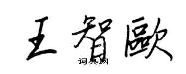 王正良王智歐行書個性簽名怎么寫