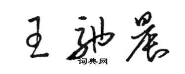 駱恆光王弛晨草書個性簽名怎么寫