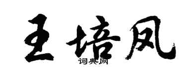 胡問遂王培鳳行書個性簽名怎么寫