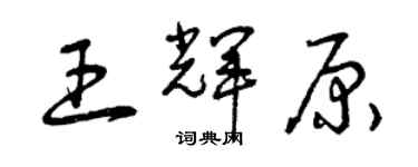 曾慶福王輝原草書個性簽名怎么寫