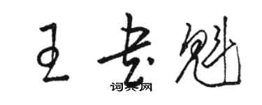 駱恆光王書魁草書個性簽名怎么寫
