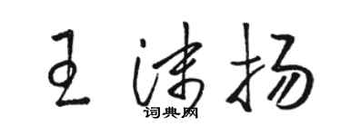 駱恆光王沫揚草書個性簽名怎么寫