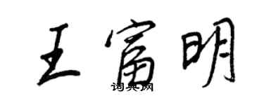 王正良王富明行書個性簽名怎么寫