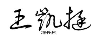 曾慶福王凱挺草書個性簽名怎么寫
