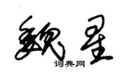 朱錫榮魏星草書個性簽名怎么寫