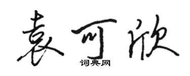 駱恆光袁可欣行書個性簽名怎么寫