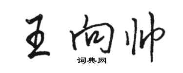 駱恆光王向帥行書個性簽名怎么寫