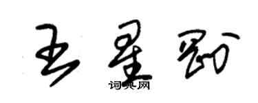 朱錫榮王星剛草書個性簽名怎么寫