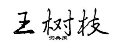 曾慶福王樹枝行書個性簽名怎么寫