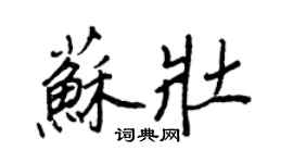 王正良蘇壯行書個性簽名怎么寫