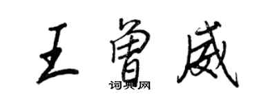 王正良王曾威行書個性簽名怎么寫