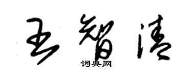 朱錫榮王智清草書個性簽名怎么寫