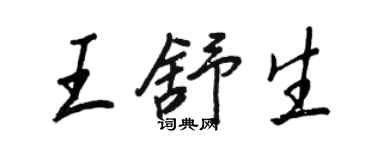 王正良王舒生行書個性簽名怎么寫