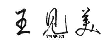 駱恆光王見美行書個性簽名怎么寫