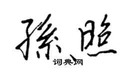 王正良孫照行書個性簽名怎么寫