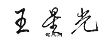 駱恆光王星光行書個性簽名怎么寫