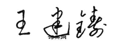 駱恆光王建鑄草書個性簽名怎么寫