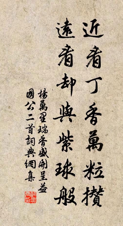 簾幕任垂花影亂 詩詞名句