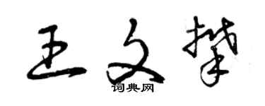 曾慶福王文攀草書個性簽名怎么寫