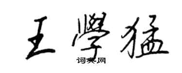 王正良王學猛行書個性簽名怎么寫