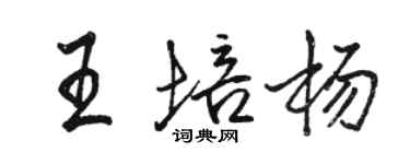 駱恆光王培楊行書個性簽名怎么寫