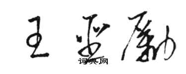 駱恆光王聖勵草書個性簽名怎么寫