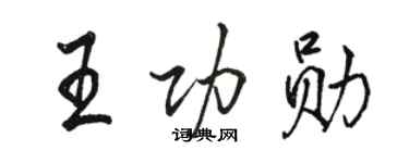 駱恆光王功勳行書個性簽名怎么寫