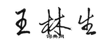 駱恆光王林生行書個性簽名怎么寫