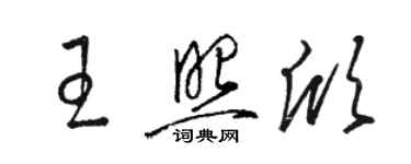 駱恆光王照欣草書個性簽名怎么寫