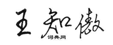 駱恆光王知傲行書個性簽名怎么寫
