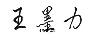 駱恆光王墨力行書個性簽名怎么寫