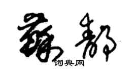 朱錫榮蘇靜草書個性簽名怎么寫