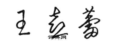 駱恆光王喜蕾草書個性簽名怎么寫