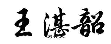 胡問遂王湛韶行書個性簽名怎么寫