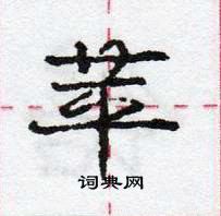 龐中華寫的硬筆行書苹