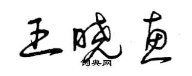 曾慶福王曉惠草書個性簽名怎么寫